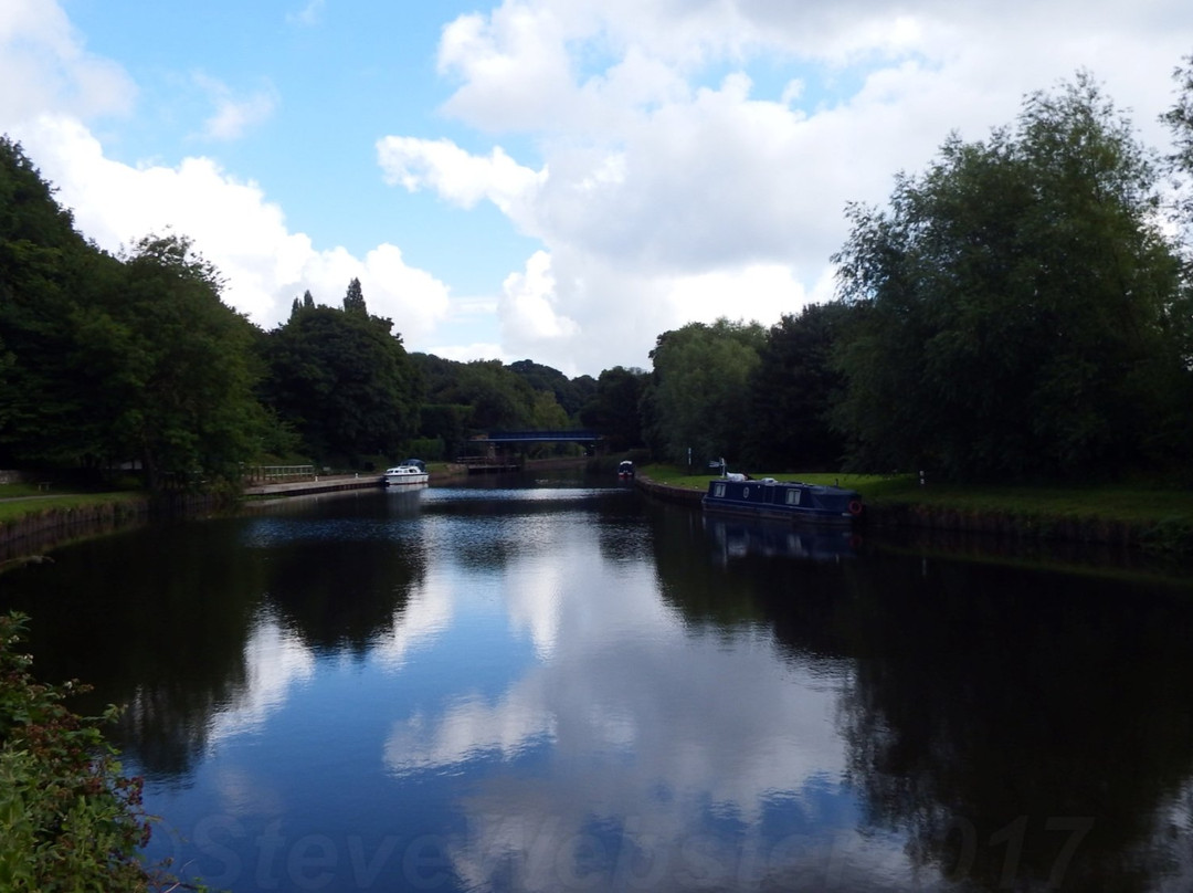 Sprotbrough Flash Nature Reserve