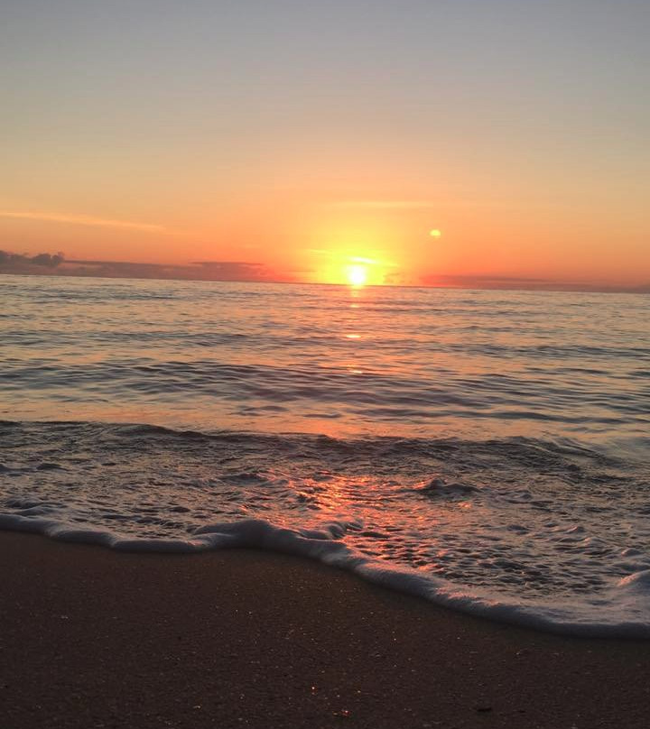 Hinchinbrook Adventures-Ingham必去景点