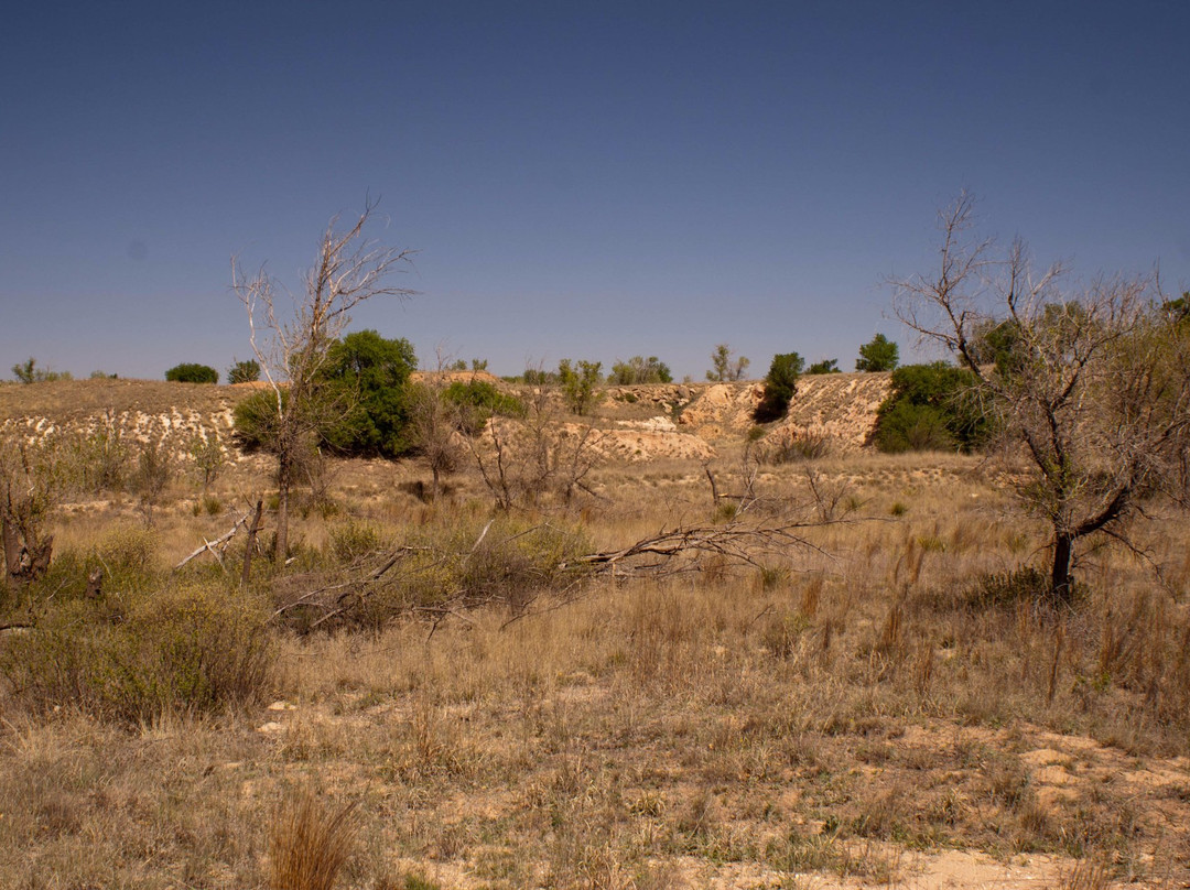 Blackwater Draw National Historic Site-Portales必去景点