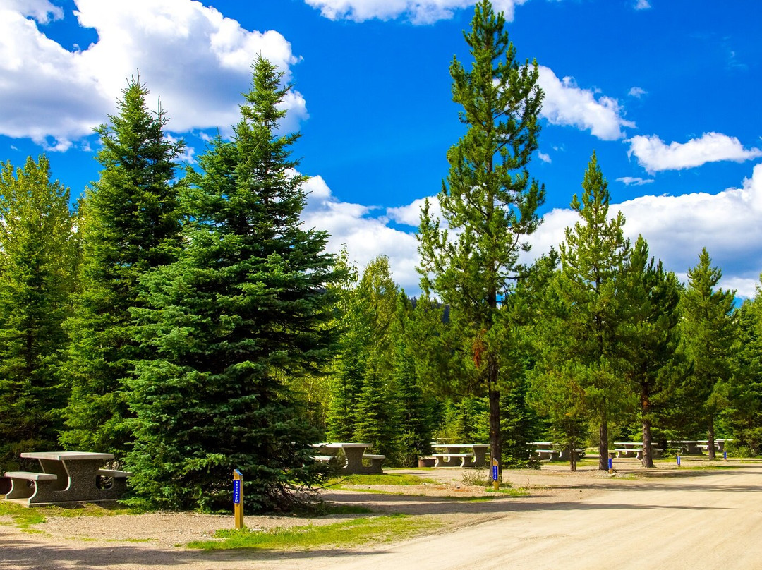 Forest Rose Campground