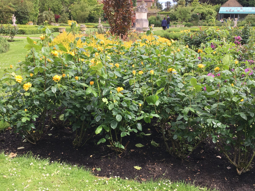 Sunbury Park Walled Garden景点图片