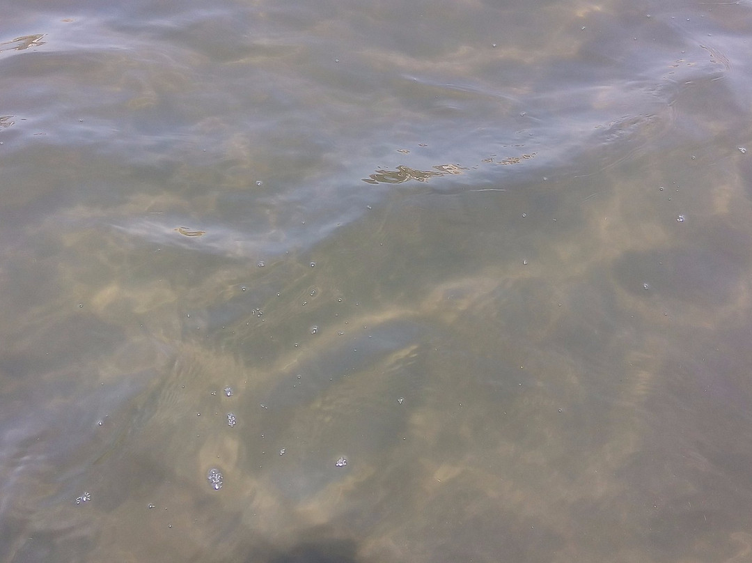 Lido Azzurro di Napoli-Torre Annunziata必去景点