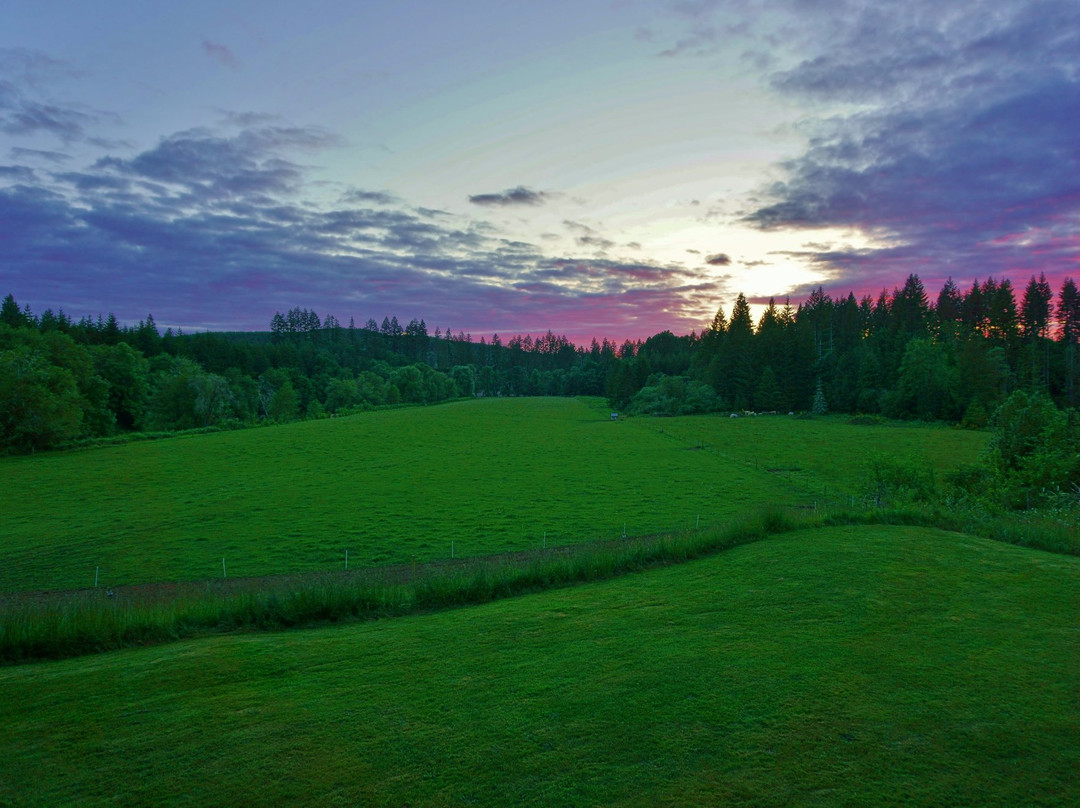 Coastal Mountain Sport Haus主图