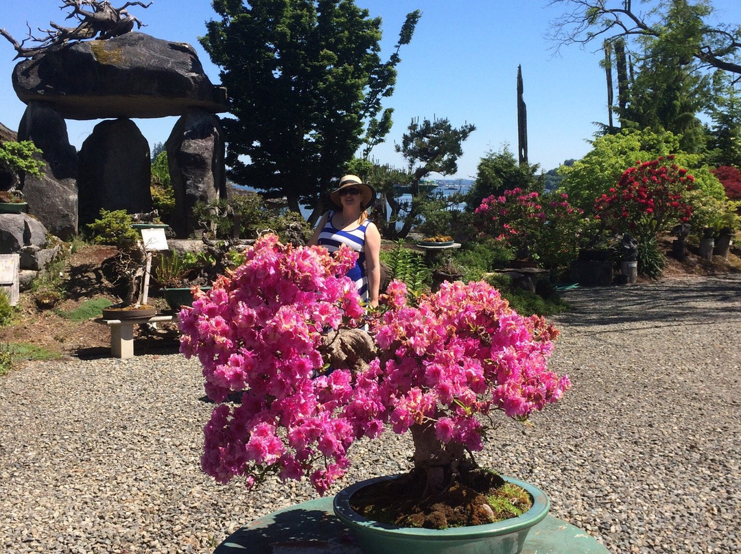 Elandan Gardens LTD景点图片
