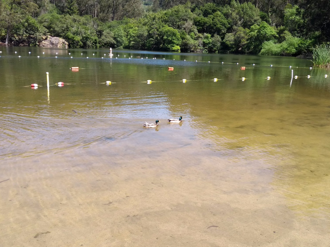 Lake Anza-伯克利必去景点