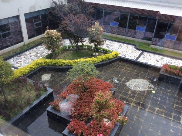 博泰林芝大酒店-浴室