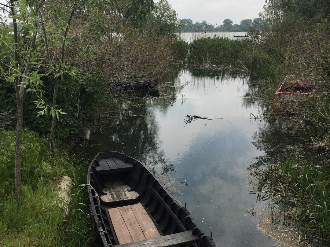 Danube Biospheric Reserve-Vilkovo必去景点