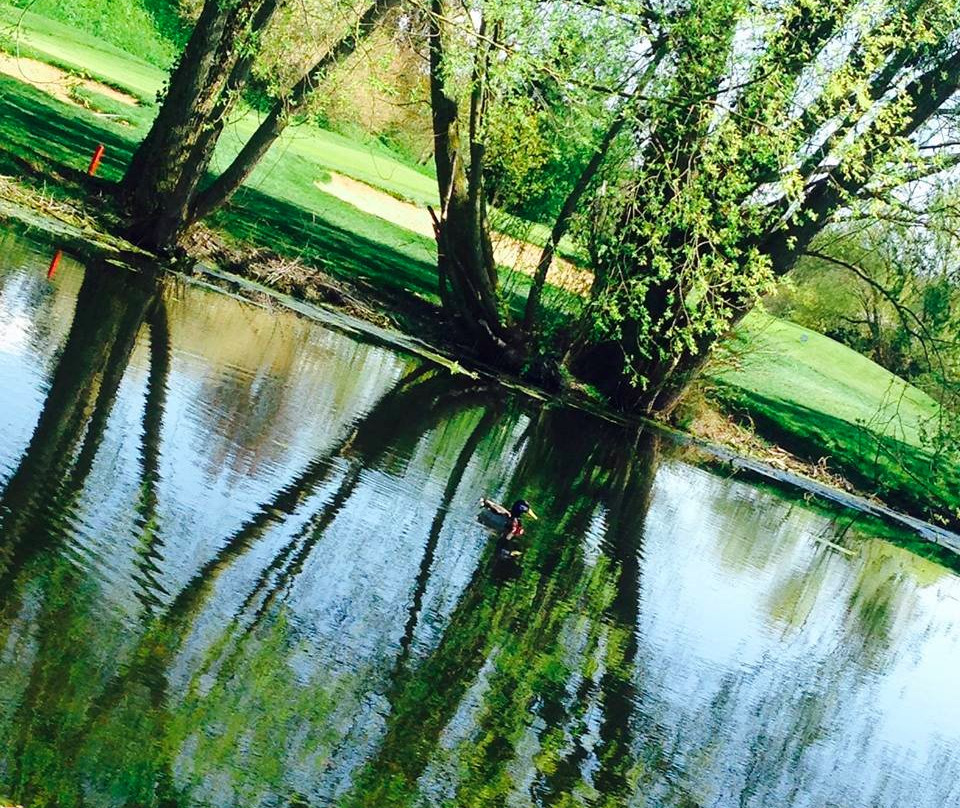 UGOLF Golf de Verrières Le Buisson景点图片
