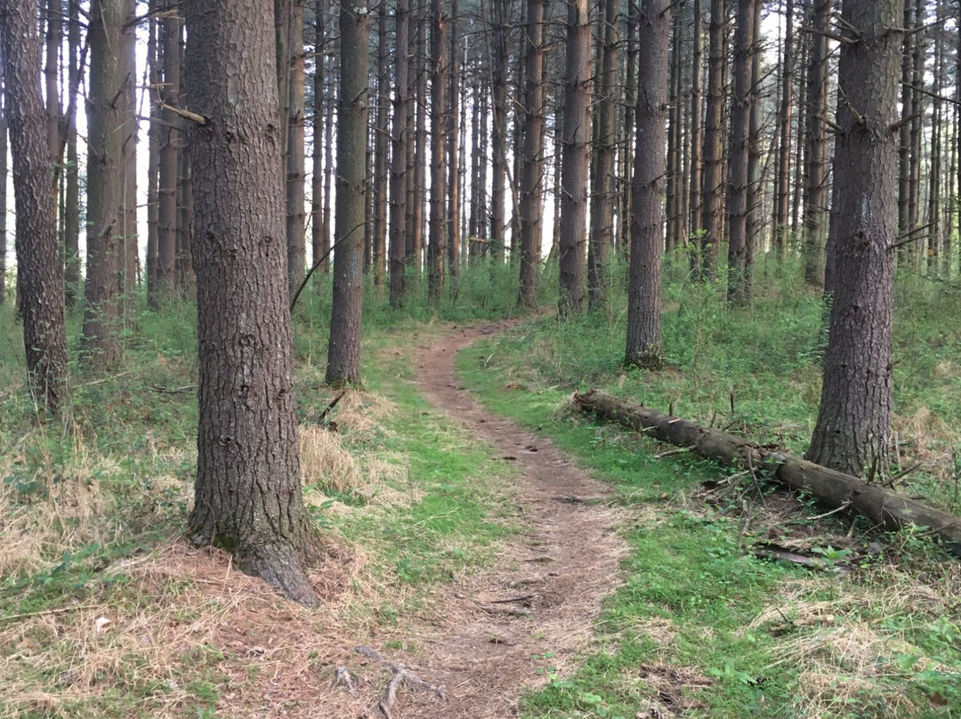 Otter Creek Outdoor Recreation Area-Brandenburg必去景点