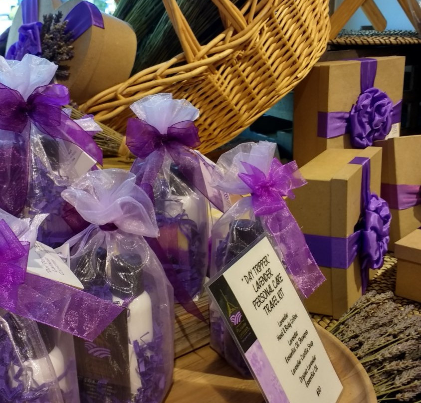 Pelindaba Lavender Amelia Island-阿米莉亚岛必去景点