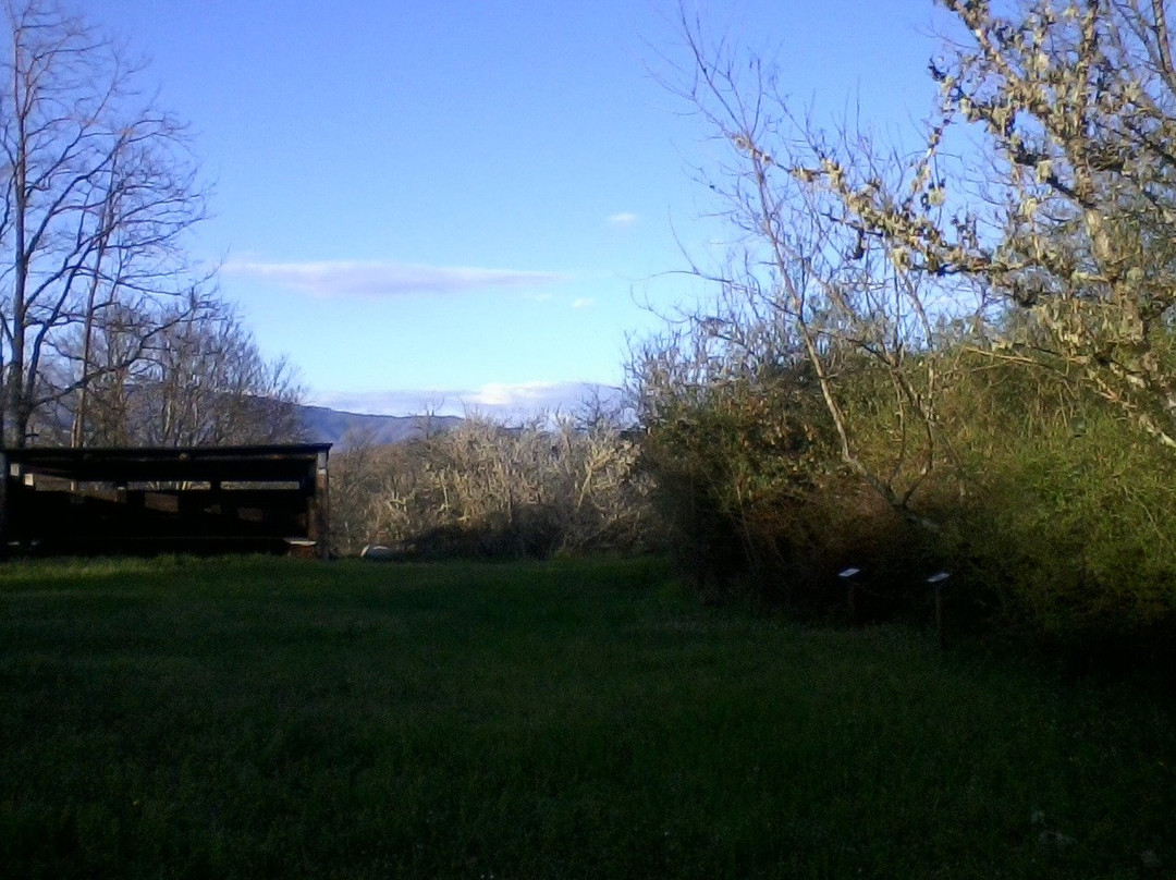 Riserva Naturale Bandella e valle dell'inferno景点图片
