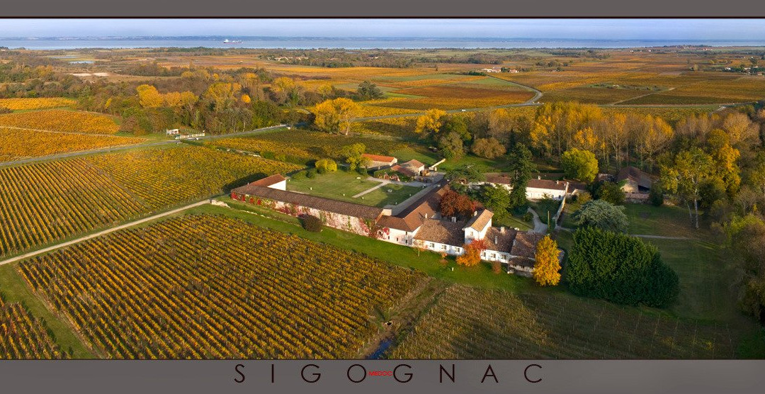 Château Sigognac景点图片