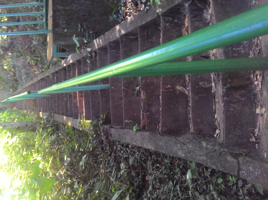 Cachoeira Tres Quedas景点图片
