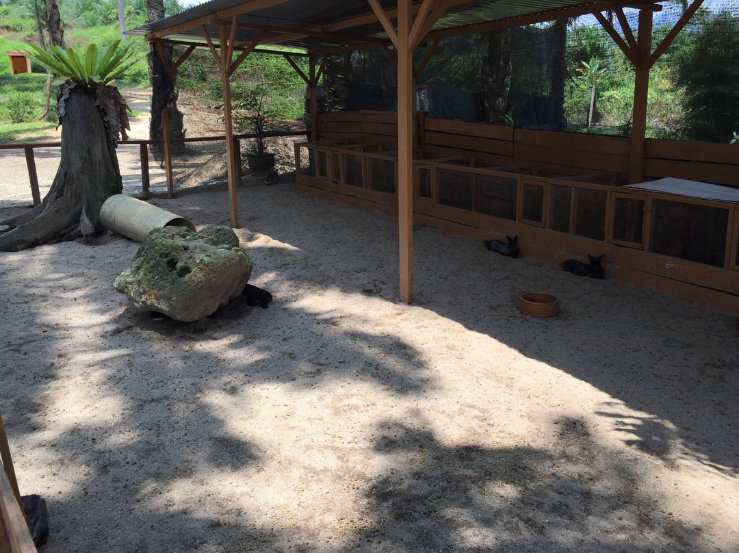 Bilut Extreme Park-文冬必去景点