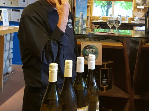 A1tours4U-纳皮尔必去景点