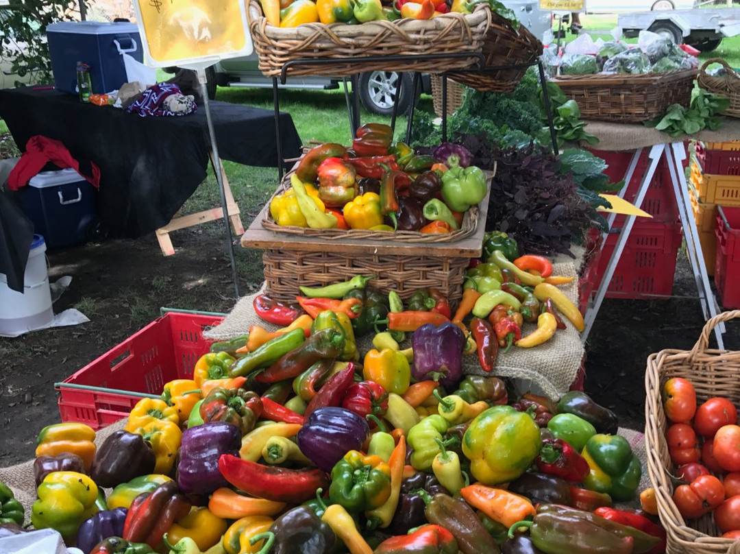 Hawkes Bay Farmers' Market-黑斯廷斯必去景点