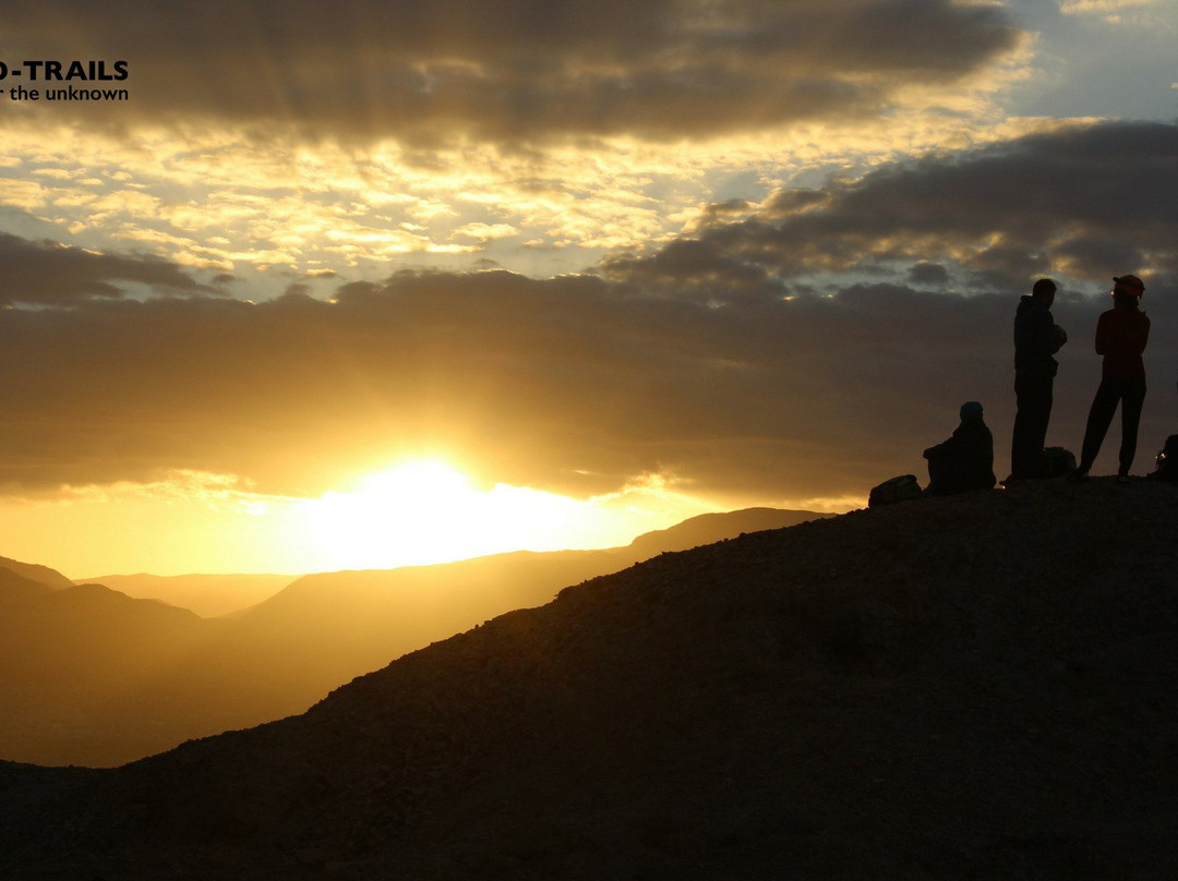 Wild - Trails Israel-Arad必去景点
