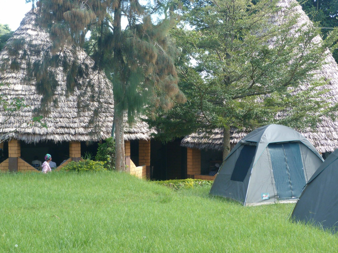 Kahawa Shamba