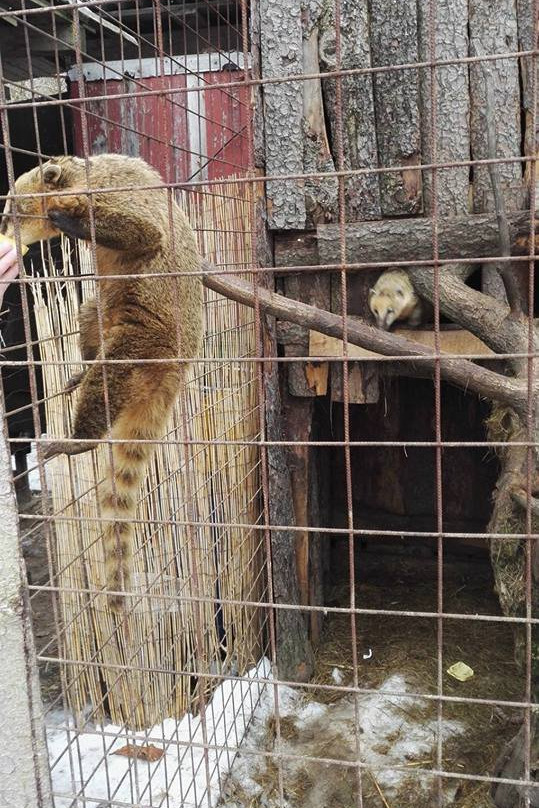 Kontaktní Zoopark-布拉格必去景点