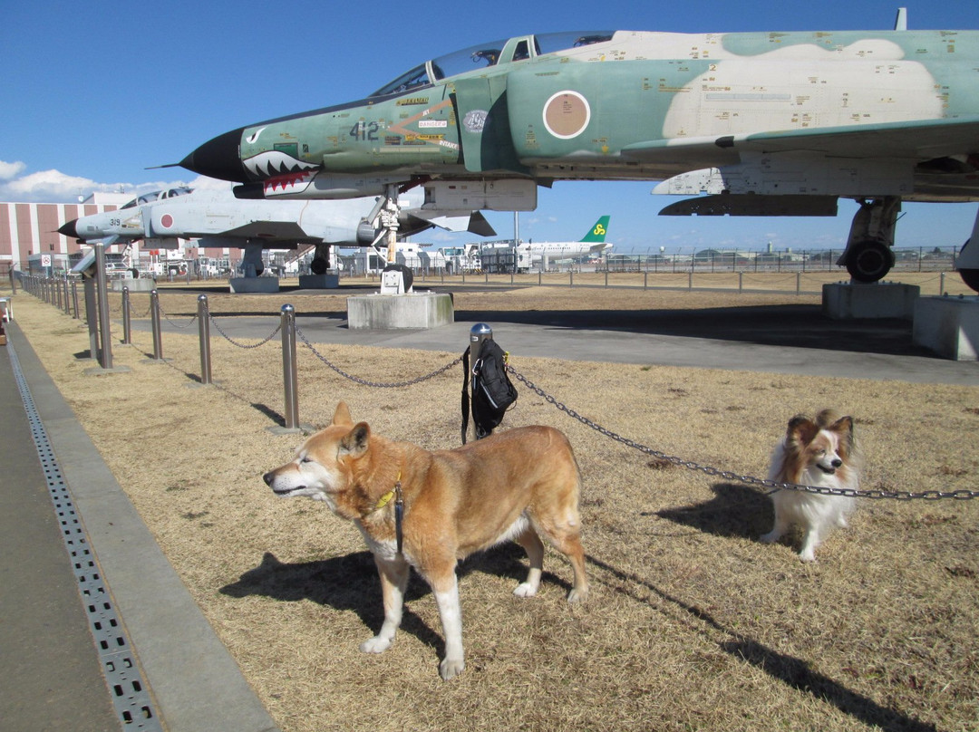 Ibaraki Airport Park-小美玉市必去景点