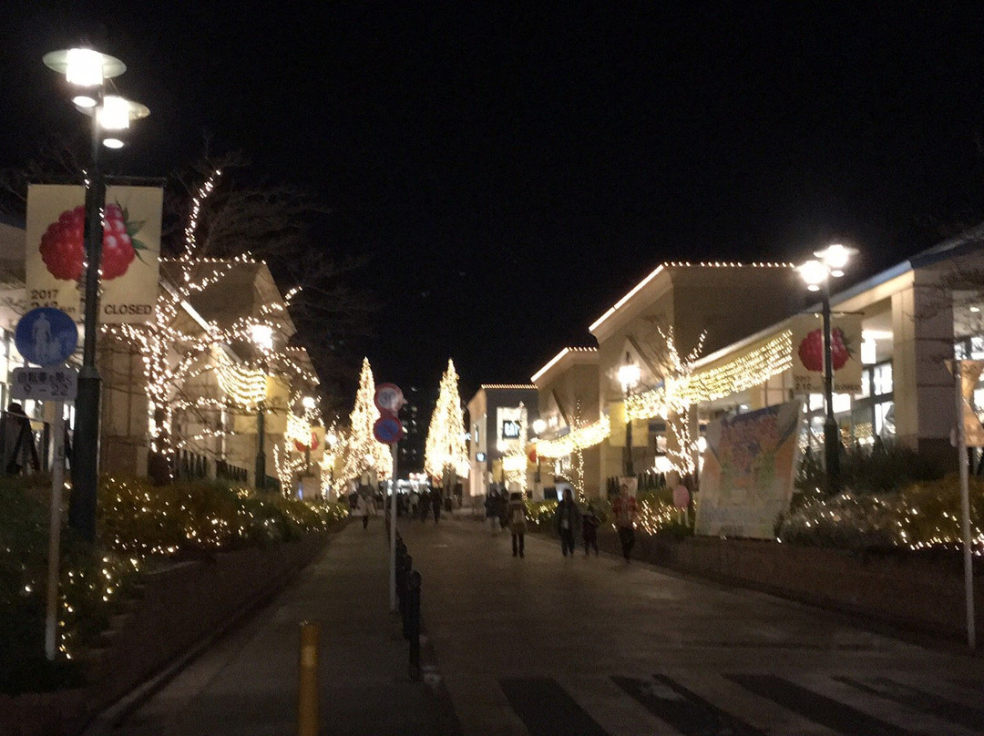 Grandberry Mall-町田市必去景点