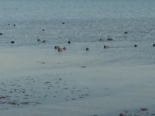 Delta Axios-Chalastra必去景点