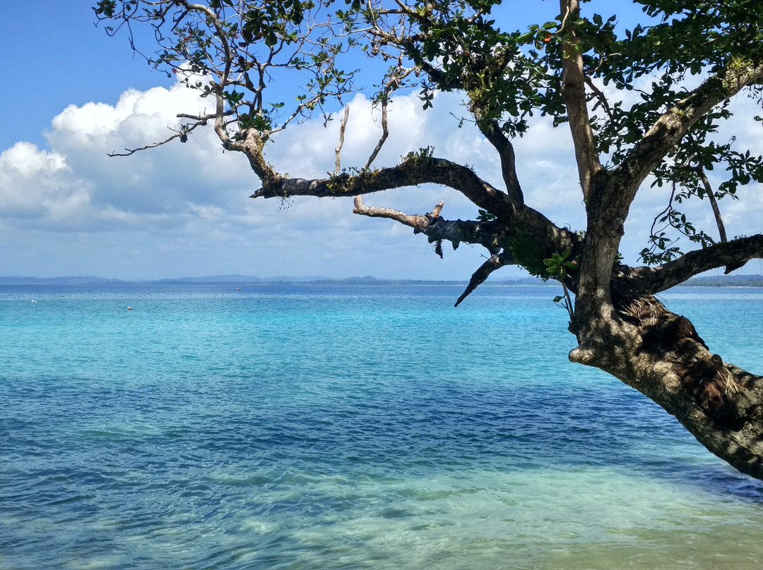 Mentawai Ebay Playground Surfcamp