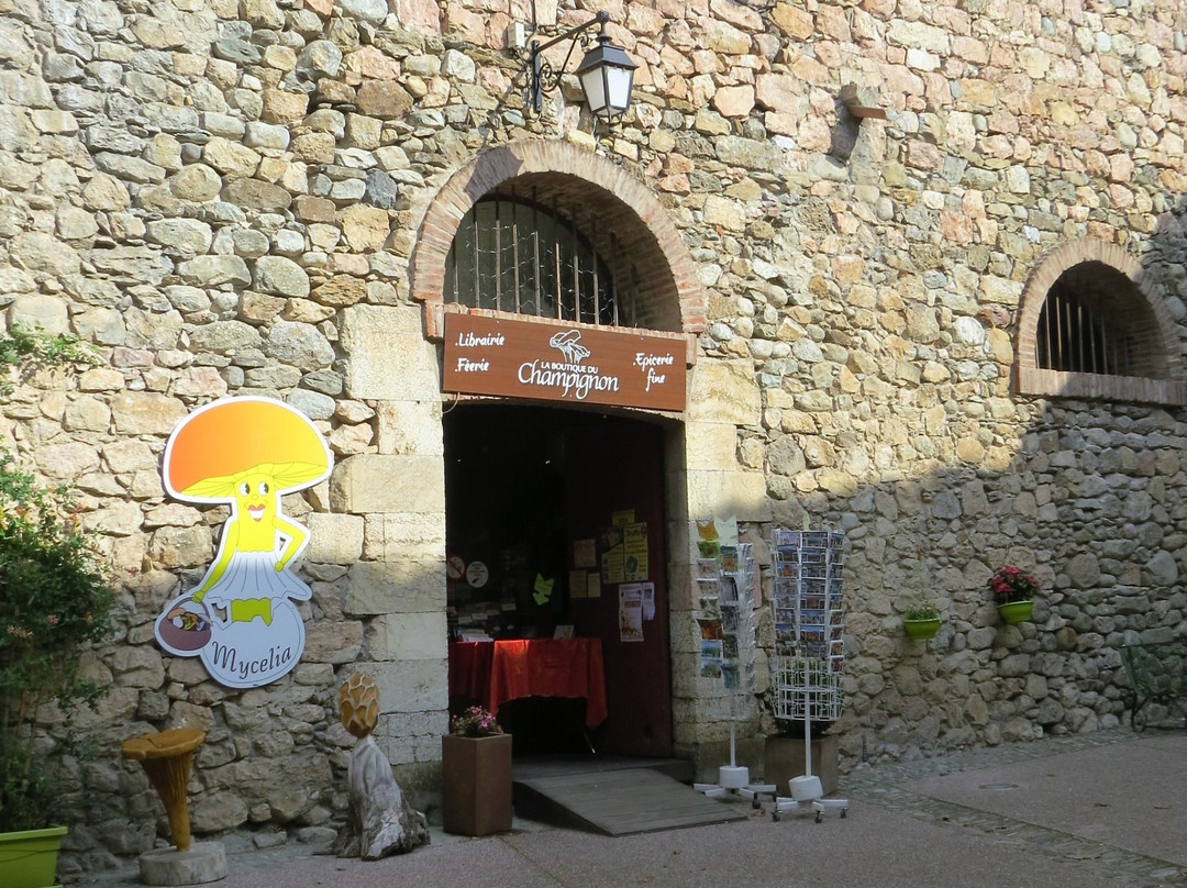 La Boutique du Champignon景点图片