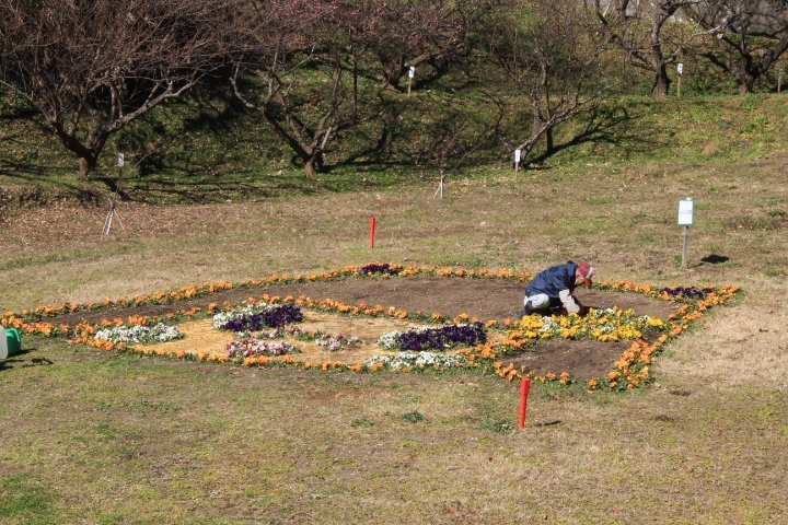 Radiant Flower Hill Park-二宫町必去景点