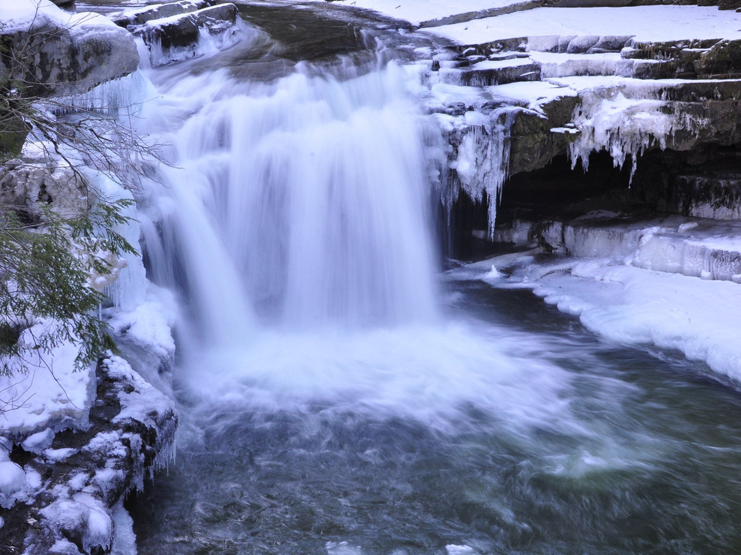 Bristol旅游攻略图片