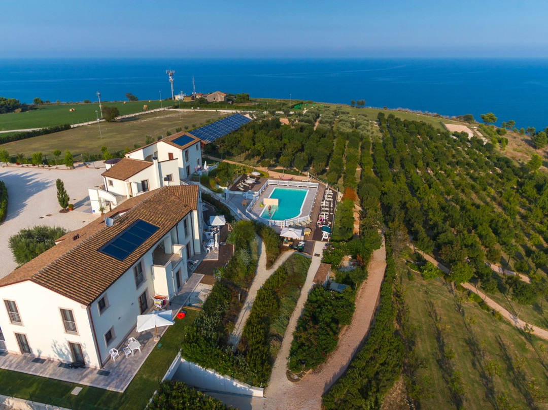 Contea Dei Ciliegi (Official)
