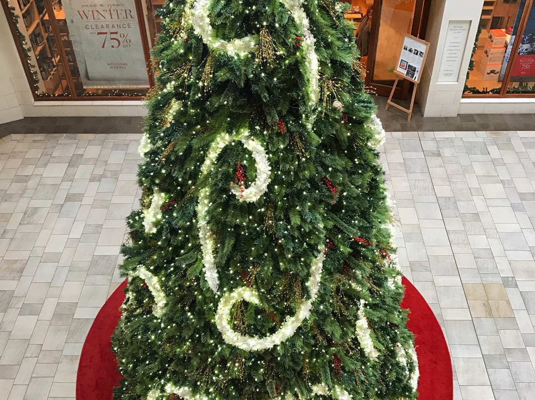 Barton Creek Square-奥斯丁必去景点