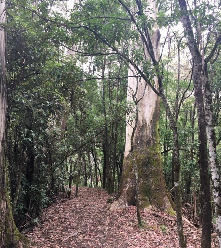 Sanatorium Lake-马其顿山必去景点
