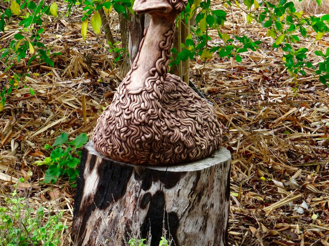 Rustic Emu Gallery and Enchanted Garden景点图片
