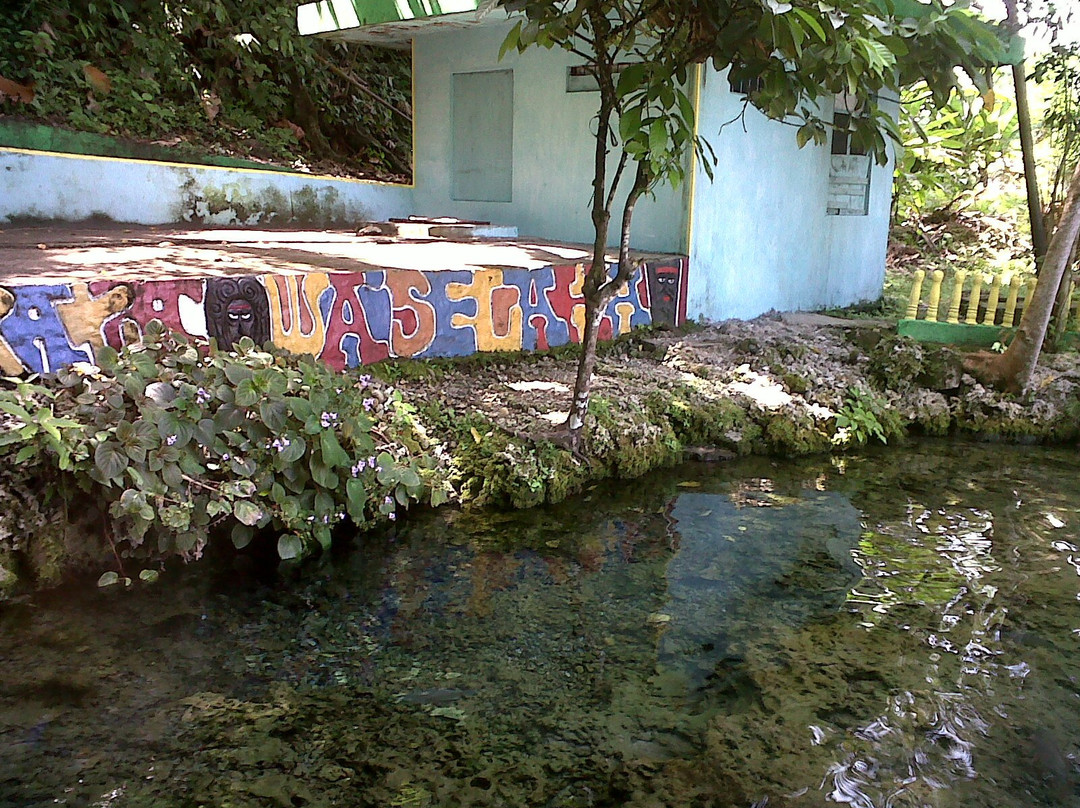 Sacred Eels of Waai-安汶必去景点