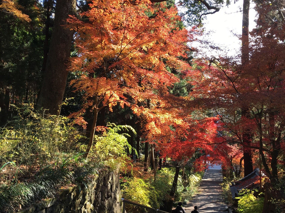 Shiio Shrine景点图片