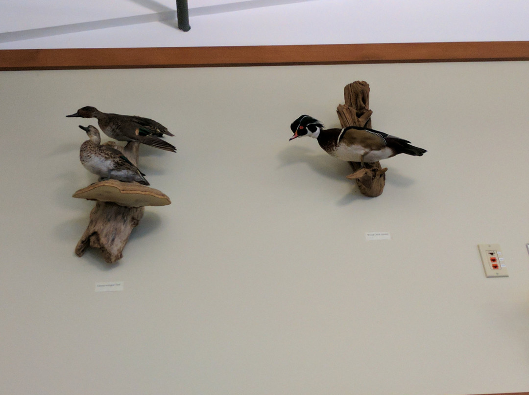 Montezuma Audubon Center景点图片