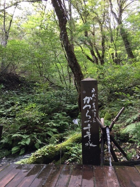 Tajima Kogen Botanical Garden-香美町必去景点