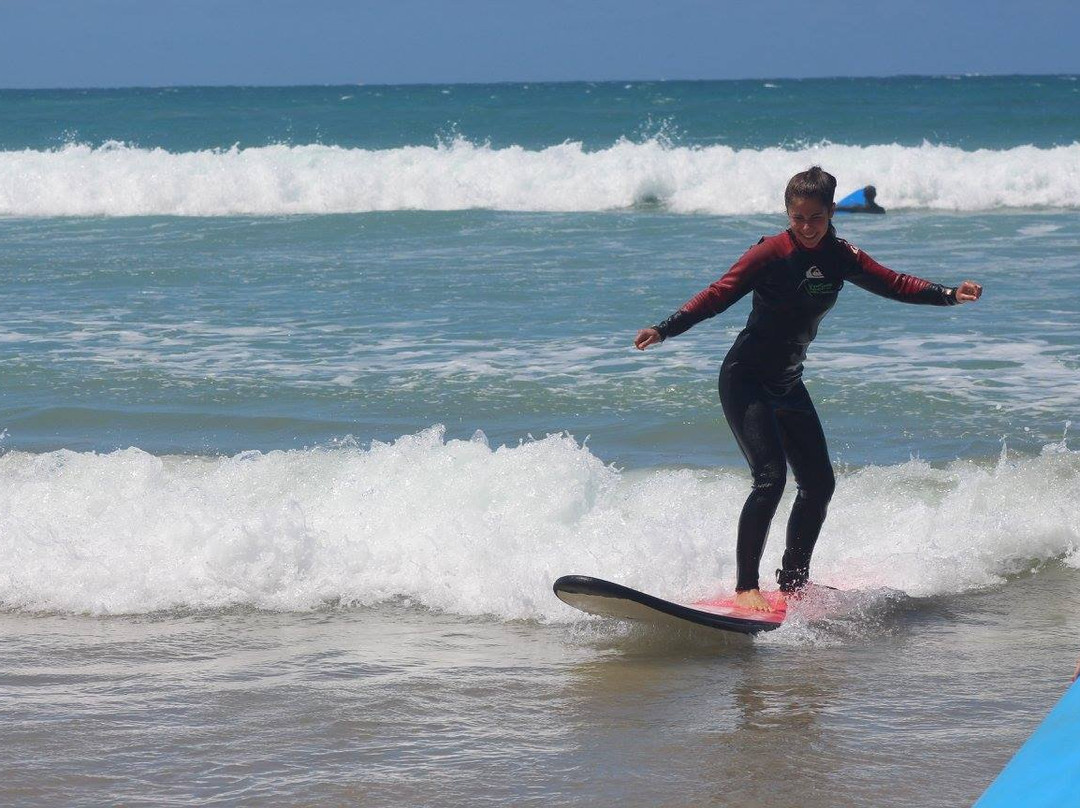 SeaEarth Adventures-安格尔西岛必去景点