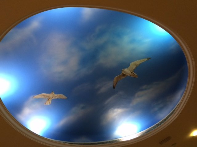 Falcon Museum-迪拜必去景点