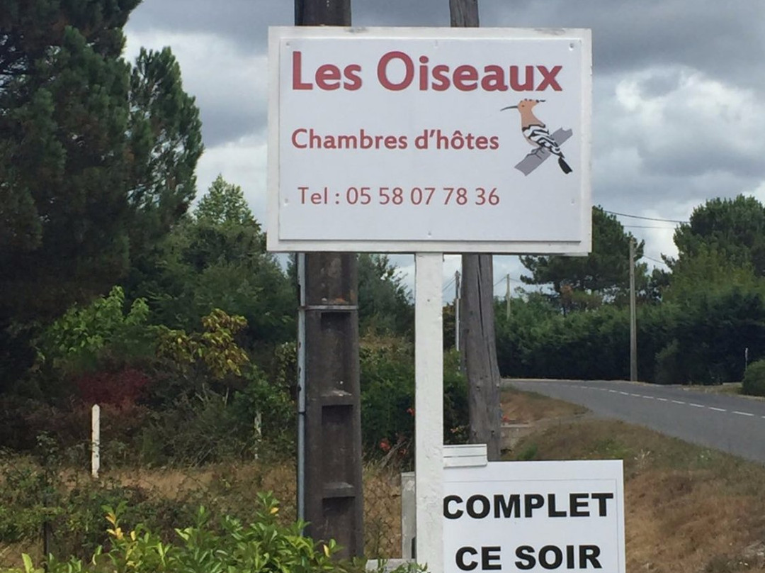 Les Oiseaux主图