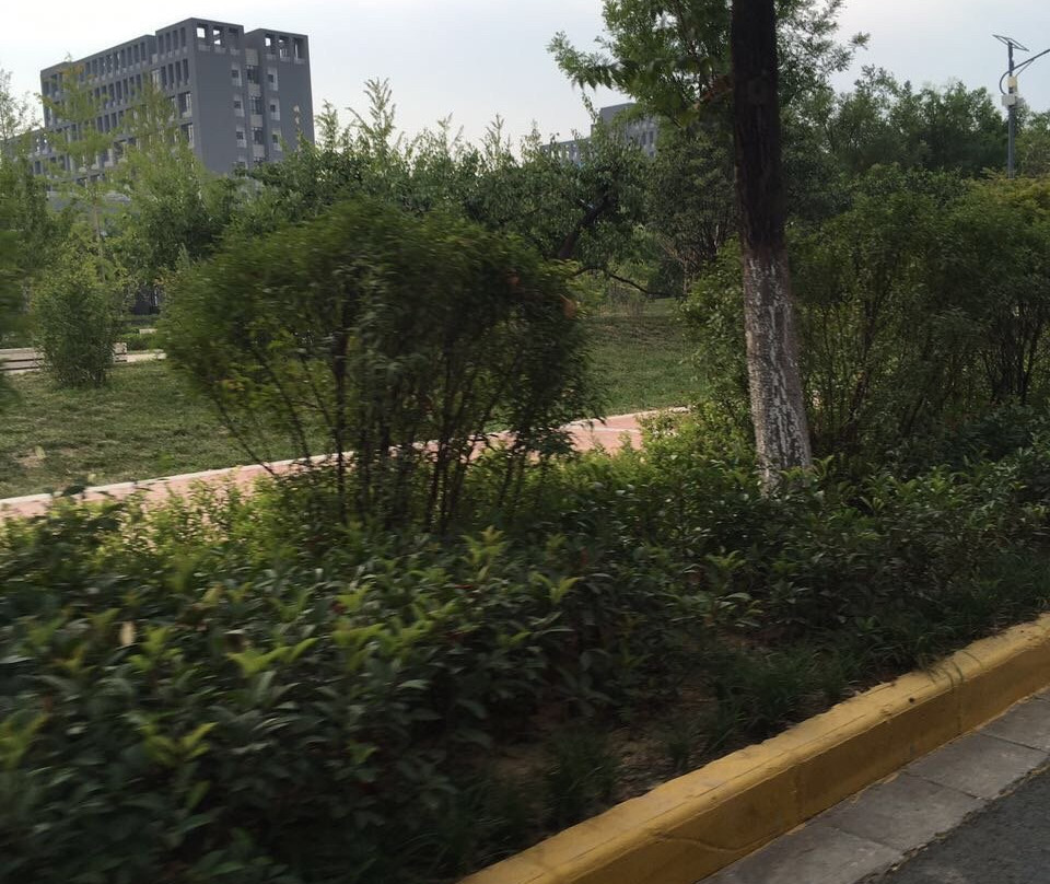 陆港假日酒店主图