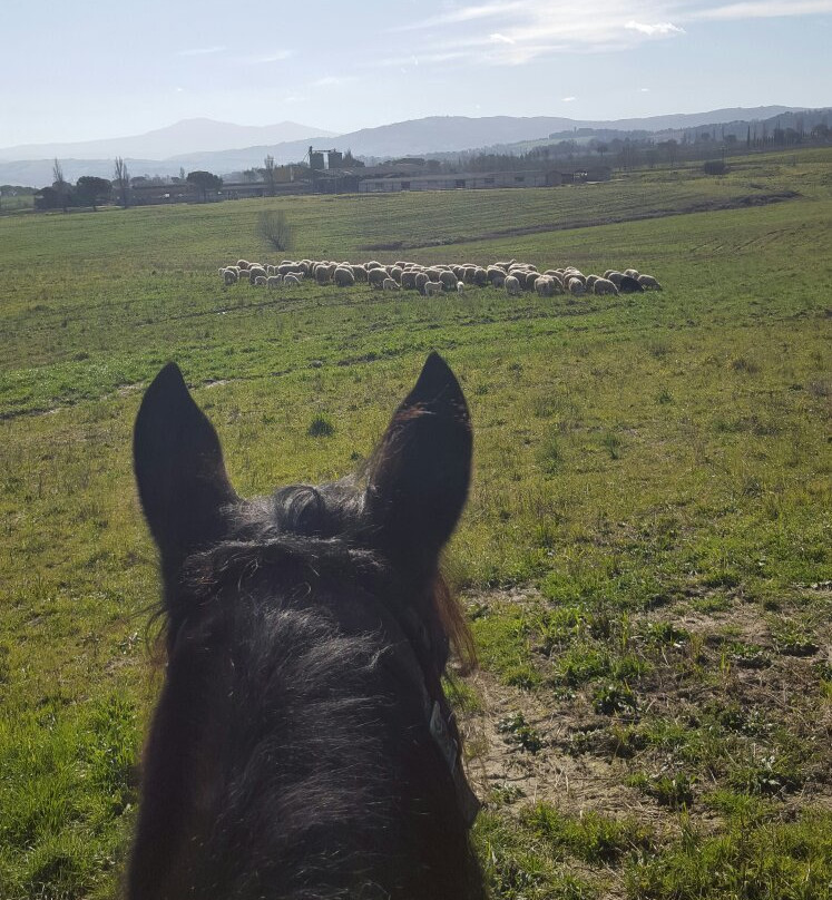 ASD Il Destriero-Buonconvento必去景点