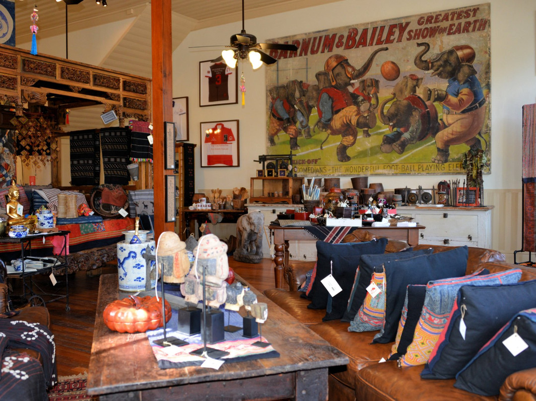 The Elephant Story-Comfort必去景点