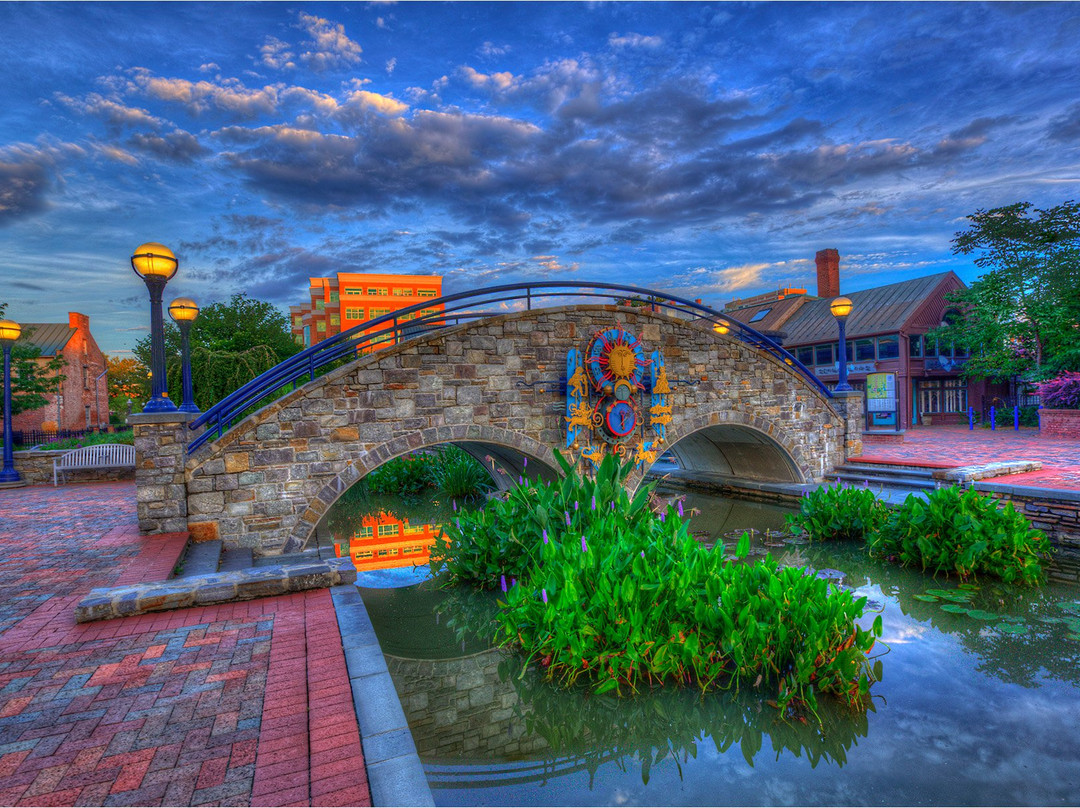 null-弗雷德里克