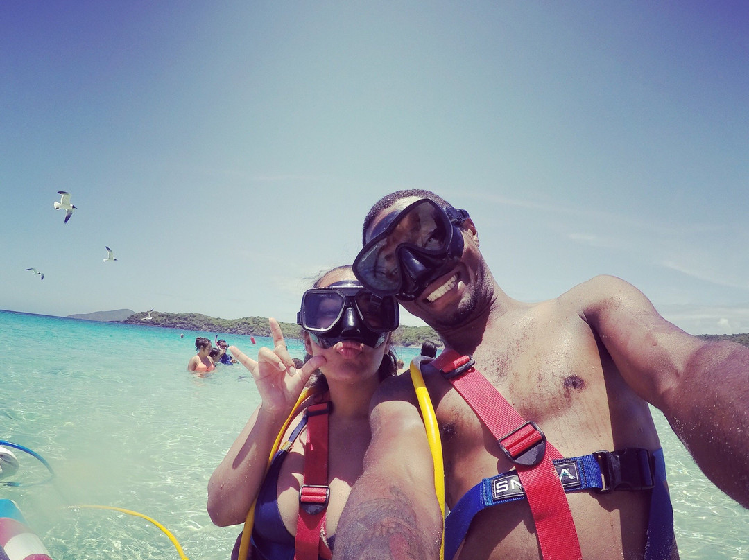 VI SNUBA Excursions-Smith Bay必去景点