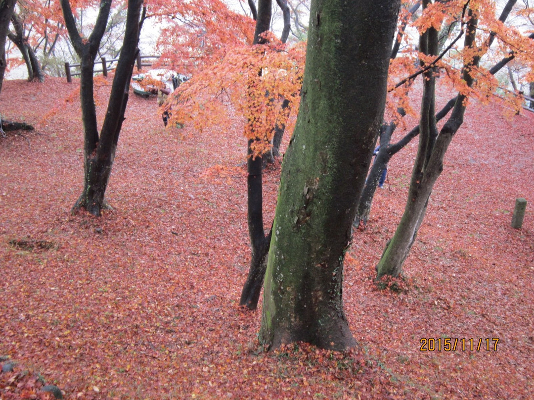 Gotenyama Park-太田原市必去景点
