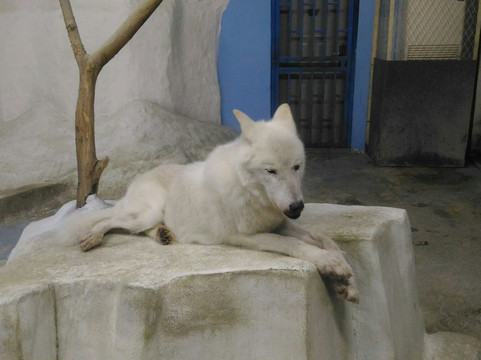 南京海底世界-南京市必去景点