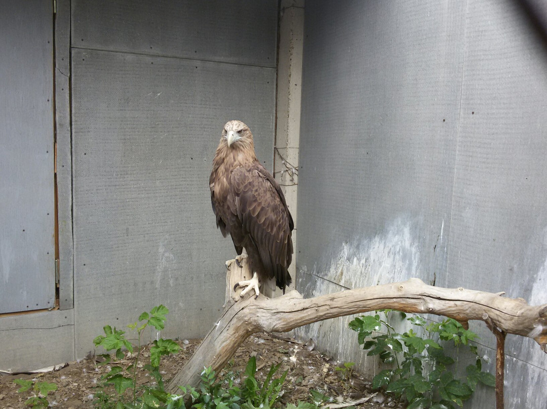 Zoo Aquaterrarium-Slavgorod必去景点