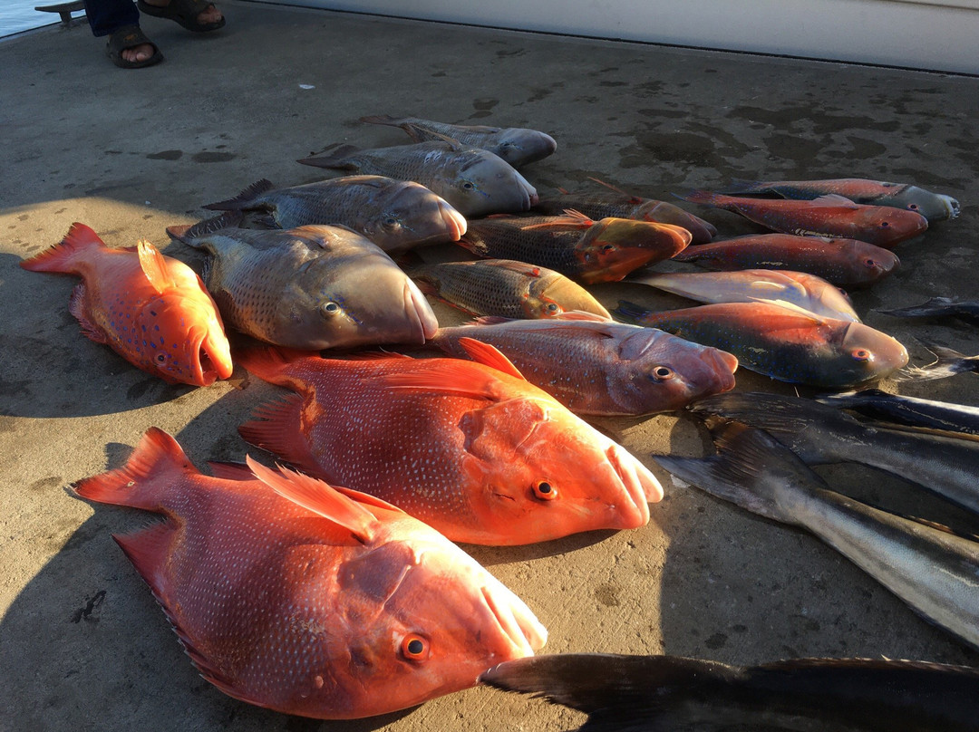 Fishing Offshore 1770 Charters-1770镇必去景点